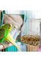 transparent external birdcage feeder trays - 5