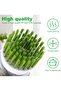 Two-piece dishwashing brush set with soap dispenser, green - 3