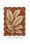Eta Traditional Patterned Modern Woven Base Decorative Carpet Eta4058Turucu