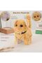 Electric Plush Persian Cat Toy, Interactive Walking & Running Kitten, Meowing Wagging Tail, Electron - 4