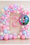 Party Led 🎀   Minnie Mouse Themed Birthday Balloon Set |   Pink Spotted Pastel Balloons |   2 Year Old Number Foil Balloon