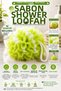 Green Soap Shower Loofah Foaming Bath Loofah with Soap Soft Textured Practical Shower Scrubber Hanging Loofah