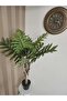 Philodendron 130cm - 3