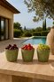3 Piece Decorative Bowl Set |   Snack Bowl & Snack Presentation Bowl |   Bpa Free |   Suitable for Food Contact - 4