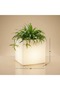 حوض زراعة مربع LED متوسط الحجم 40 × 40 × 41 × 24 سم، مصنوع من البلاستيك LLDPE، سعة 25 لتر للزراعة - 4