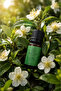 Solaén Natural Tea Tree Essential Oil 10 ml Steam Distillation Natural Oil - 2