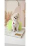 Cat Dog Gelibon Necklace Tutu Dress - 3