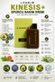 Kinesis + (Post-Workout Care Cream) - 2