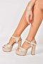 Ten Platform Heeled Women's Evening Dress Shoes M348202409