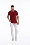 Burgundy Regular Fit 100% Cotton Polo Collar T-Shirt - 3