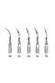 1 pack 5Pcs Dental Ultrasonic Scaler Tip Scaling Periodontics Endodontics Fit EMS Woodpecker Teeth W - 2