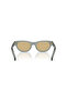 0Pr C09 21J-70R Men's Sunglasses - 5