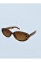 Leopard Coffee Cat Oval Unisex Sunglasses Uv-400 - 3
