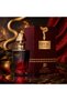Vipere Flames Eau De Parfum 100ml – Bold Fiery Luxury Fragrance | Long Lasting Perfume for Men & Women (Unisex)