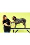 Premium Pet Nail Clipper - 5