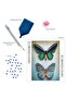 Diamond Dotz Diamond Mosaic Painting Ancient Butterflies - 37X52 cm - 2