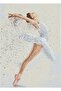 Diamond Dotz Dancer Woman - 37X52 cm