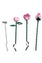 Pink Rose Bouquets 10374 - 2
