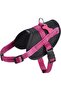 Easy Safe Harness Fuchsia Medium