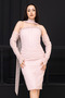Beaded Strapless Neckline Lace Pencil Dress - Powder - 5