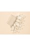 Resin Design Bridal Accessory Bridal Hairpin Bridal Crown