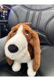 Cute Dog with Long Ears - 2