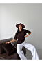 Premium Viscose Sausage Collar Half Sleeve Comfortable Fit Flexible Summer Knitwear Blouse - 5