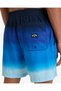 Volley Shorts Color Block Men's Swim Shorts Ebyjv00121 - 5