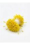 Artificial Flower Seeds (Stamens) -Stamens for Making Artificial Flowers - 380 Pieces - Yellow Color