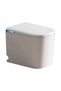 Smart toilet - 2
