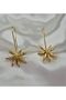 Anise