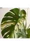 Monstera Artificial Tree H120cm - Green - 4