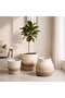 Julie Stoneware Organic Striped Desert Planter 25.5x25.5x22cm - Brown - 3