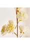 Pear Blossom Artificial Stem Flower H107cm - Cream - 2