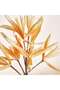 Aloe Artificial Stem Flower H80cm - Cream - 2
