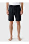 Vizyon New Season Regular Fit Striped Men's Shorts