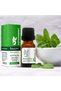 Peppermint Oil Organic and Herbal Oils, 10Ml - 2