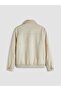 Southblue Beige Standard Fit Fur Collar Men's Suede Coat - 2