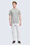 Gray Regular Fit Printed Crew Neck 100% Cotton T-Shirt - 2