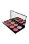 Ultra Blush Palette - 3