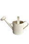 Galvanized Metal Watering Can 3.5 Lt Cream - 2