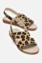 Buckle Cross Women's Sandals Leopard