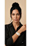 سوار من المينا الفولاذية - 2