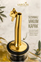 3-Piece Glass Oil and Vinegar Set 350 ml Stainless Gold Lids Leak-Proof Olive Oil Bottle (3 Pieces 350 ml) - 4