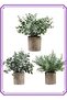 3 Pack Mini Potted Fake Plants Artificial Plastic Eucalyptus Plants for Home Office Desk Room Decoration