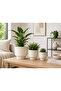 3-Piece Ceramic Flower Pot Set with Textured Design Decorative Indoor & Outdoor Planters for Succulents, Cactus, Herbs & Small Plants White - 5