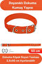 # Harness Woven Dog Collar Orange 2.5X50 cm Adjustable Durable Walking Leash Strong Fabric with Stainless Metal Buckle Pet Puppy Medium Breed Comfortable Safe Accessory