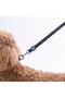 Dino Leash Cat Dog Transport & Travel Strap Dog Extension Leash-2Cm - 2