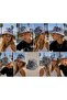 Unisex Black White Zebra Pattern Bucket Hat Fisherman Cap Summer Sun Protection - 2