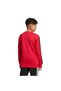 Children's Sweatshirt "Manchester United Kids Crew Sweat" Kg6341 - 3